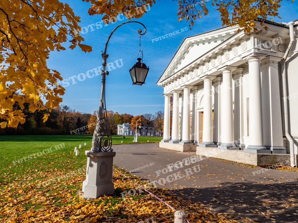 Фотография запечатлела парк в Санкт-Петербурге в золотую осень. Падающая листва и яркие осенние цвета деревьев на переднем плане создают теплую атмосферу. Классическая архитектура в сочетании с парковым ландшафтом представляет идеальное место для прогулок и отдыха. Это изображение подойдет для туристических брошюр, образовательных материалов, а также для использования в декоративных целях.